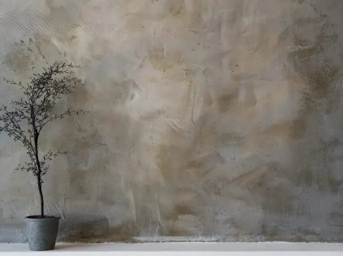 Pared de textura mineral en tonos grises junto a una planta en maceta